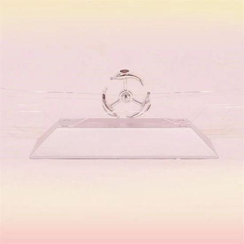 Dekoratif Masa Üstü Obje Manyetik Kinetik Orbital Dönen Yunuslar