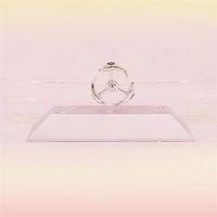 Dekoratif Masa Üstü Obje Manyetik Kinetik Orbital Dönen Yunuslar