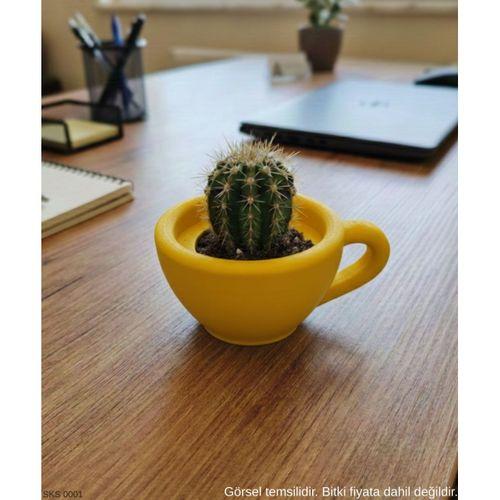 Sarı Mini Dekoratif Fincan Şeklinde Saksı – 6 Cm Masaüstü & Ofis Dekoru