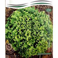 Kışlık Kıvırcık Tohumu (Tek Göbek) (10 gr)