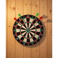 Ev Ve Ofis İçin 17 İnç Dart Tahtası Seti 4 Adet Dart Oku Dahil