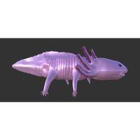 Axolotl - 5125685