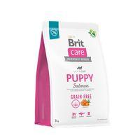 Brit Care Deri Ve Tüy Hassasiyeti Olan Yavru Köpekler İçin, Tahılsız, Somonlu Kuru Mama 3 kg