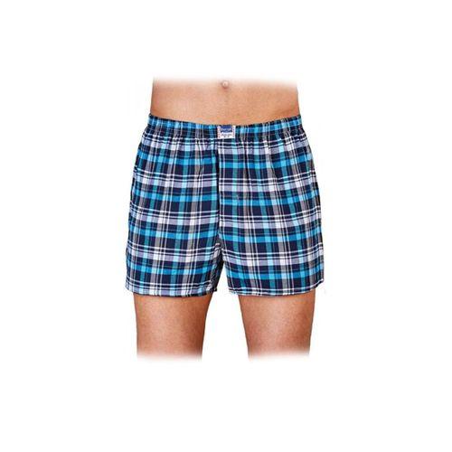 Erkek Desenli Poplin 3 Lü Boxer Berrak-1052