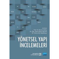 Yönetsel Yapı İncelemeleri