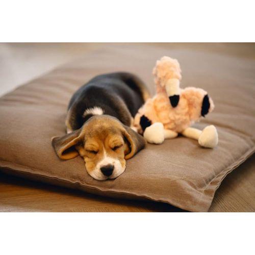 Beeztees Yavru Köpek Oyuncağı, Flamingo, Peluş, Pembe, 27x10x18cm