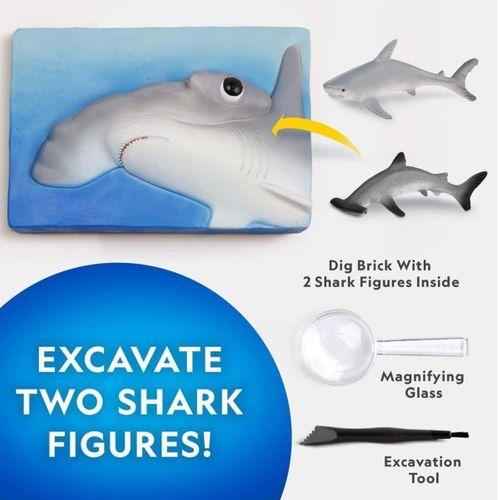 Çocuk NAT07002 National Geographic Köpek Balığı Bulma Kiti - TRHAMSHDIG +6 yaş