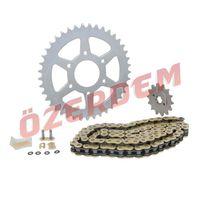 BAJAJ Bajaj Pulsar Rs 200 Ön-Arka Dişli Zincir Set O-Ringli 520H-110L 41-14T Sfr
