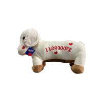 62203 PELUŞ 45 CM AŞIK KÖPEK YASTIK -HLY