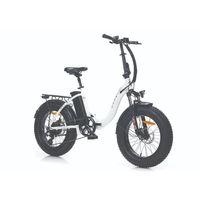 Corelli Truva S 20 Jant Katlanabilir Fat Bike Elektrikli Bisiklet Beyaz