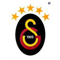 Galatasaray Siyah Arma Büyük Sticker 40X50Cm Orijinal Lisanslı Ürün
