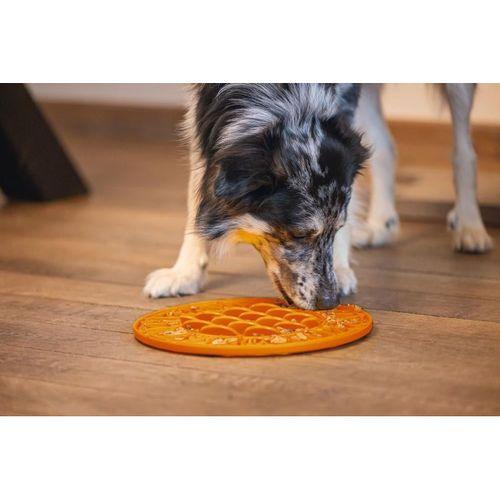 Beeztees Yavru Köpek Mama Yeme Oyuncağı, Daire Şeklinde, Silikon, Turuncu, 30cm