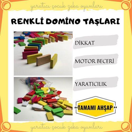 RENKLİ DOMİNO TAŞLARI