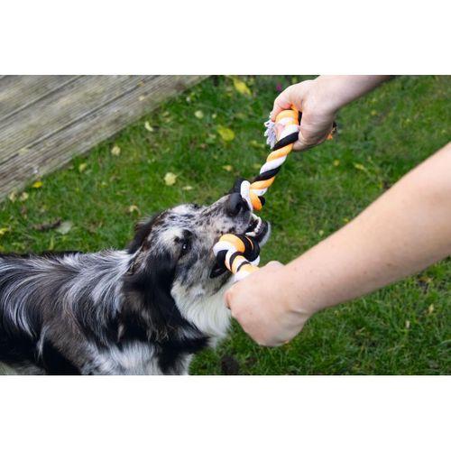 Beeztees Köpek Oyuncağı, Diş İpi, Dört Düğümlü, 40x5,5x4,55cm, 140gr