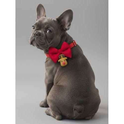 Yılbaşı Geyiği Küçük Irk Köpek Papyon Tasması | Kırmızı Fiyonk Boyun Aksesuarı | Noel Temalı Köpek Süsü