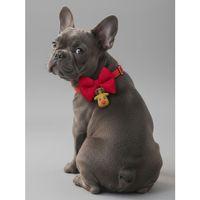 Yılbaşı Geyiği Küçük Irk Köpek Papyon Tasması | Kırmızı Fiyonk Boyun Aksesuarı | Noel Temalı Köpek Süsü