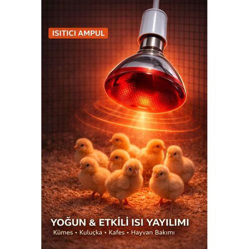 150w Isıtıcı Ampul Kırmızı Isı Lambası Civciv Kümes Kuluçka E27 Duy Isıtma Ampulü