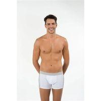 Kom Ares Boxer