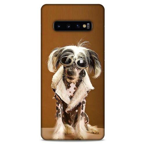 Samsung Galaxy S10 Plus Kılıf Köpek Kıyafetleri (12) Koruyucu Silikon Chinese Crested