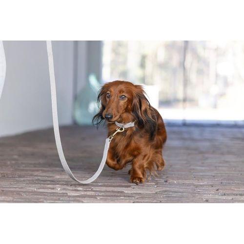 Beeztees DBL Köpek Tasması, Kadife, Gri, 26-40cm, 15mm