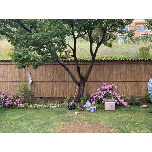 özgazi 90 Cm X 5 Metre Hasır Kamış Bahçe Çiti Balkon Çiti Gölgelik Dekarasyon