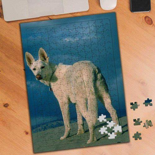 Beyaz Tüylü Dağ Köpeği 240 Parça Puzzle Yapboz-74559