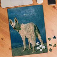 Beyaz Tüylü Dağ Köpeği 240 Parça Puzzle Yapboz-74559