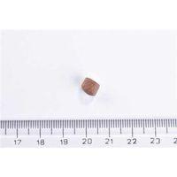 Brit Care Yavru Kediler İçin, Tahılsız, Hipoalerjenik, Taze Somonlu Kuru Mama 2 kg