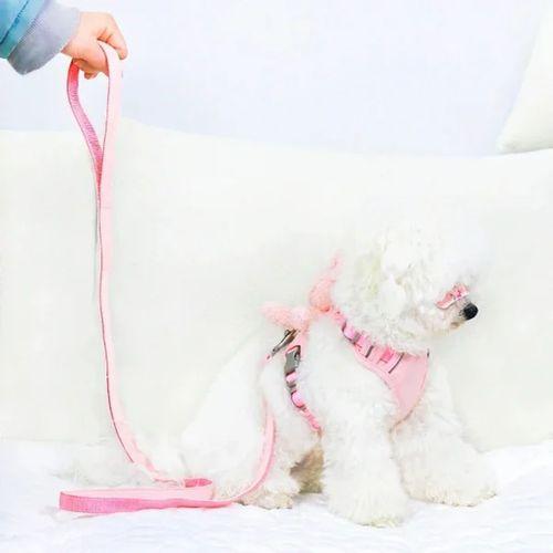 Evcil Hayvan Peluş Ayıcıklı Göğüs Gezdirme Tasması Set