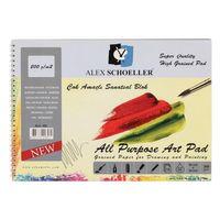 ALEX ÇOK AMAÇLI RESİM DEFTER (25* 35 cm) 200 gram 15 Yaprak (ALEX-893 )