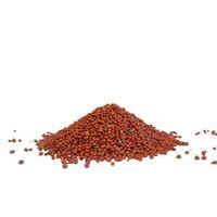 Ispanak Tohumu İthal (Matador Çeşidi) 250 Gr