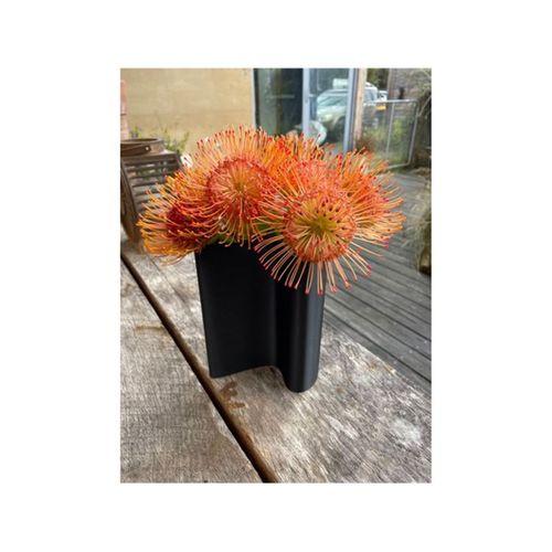 Dar Ağız Nalgene Su Şişesi için Huni (Bu ürün Sadece Plastik parçadır - Almadan Önce Soru Sorabilirsiniz)