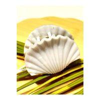 Monalisa Home 5 cm Lüks Renkli Parlak Kıstırma Toka