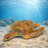 Deniz Hayvanları Serisi - Caretta Caretta 22 cm