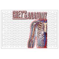 Grey's Anatomy Mk Puzzle 240 Parça Yapboz