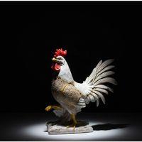 Özel Tasarım Polyester Horoz Figürü