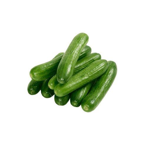 Hıyar Tohumu 20 Gr