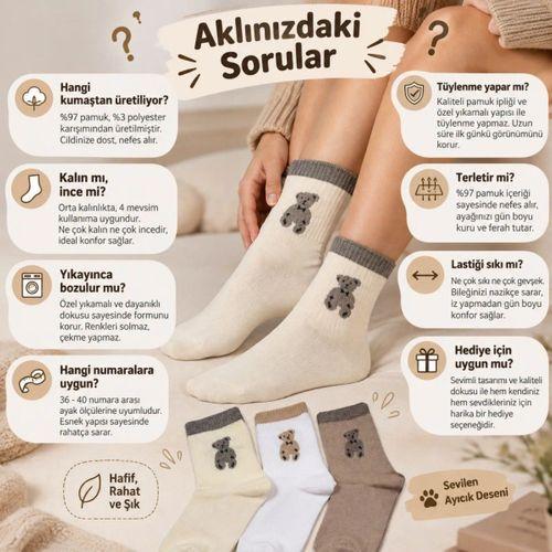 Kadın Soket Çorap Seti - Ayıcık Desenli, 3'lü Paket