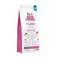 Brit Care Deri Ve Tüy Hassasiyeti Olan Yavru Köpekler İçin, Tahılsız, Somonlu Kuru Mama 12 kg
