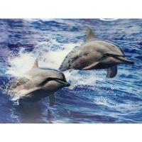 3 Boyutlu Resim  Sevimli Yunuslar İkili Yunus Resmi Tablosu 30x40 Cm