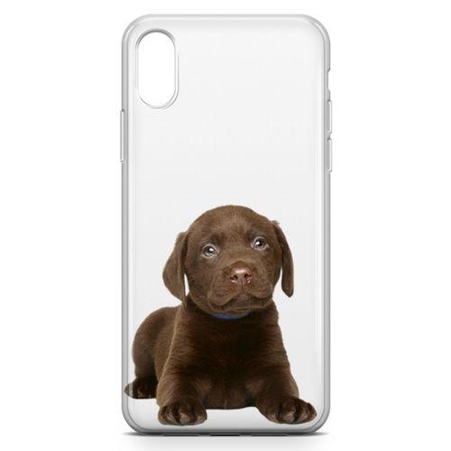 Apple iPhone XS Max Kılıf Yavru Labrador Arka Kapak Koruma Desenli Full Koruyucu