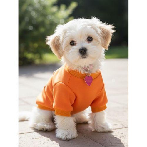 Ice Cream and Cupcakes Köpekler için Polar Sweatshirt