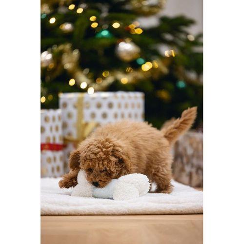 Beeztees Yavru Köpek Oyuncağı, Sesli, Kemik, Peluş, Beyaz, 21x10,5x5cm