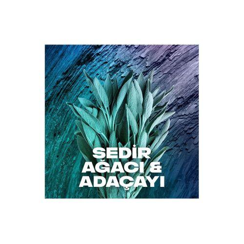 2 Adet Axe Erkek Sprey Deodorant Apollo 48 Saat Etkileyici Koku Vücut Spreyi 150 ml
