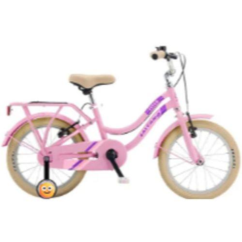 Salcano Flyer 20 Jant Çocuk Bisikleti Pudra Pembe