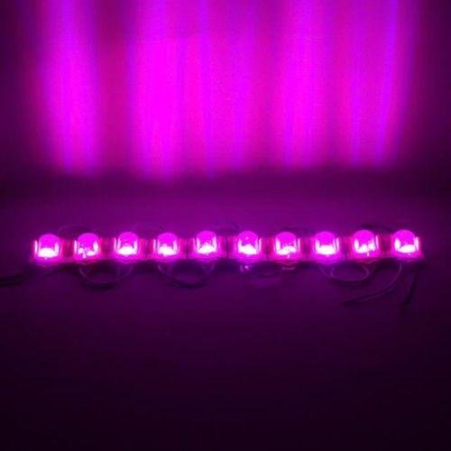 Powermaster Pembe 24 Volt 1.4 Watt 2835 Modül Led 48*30