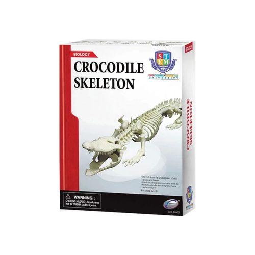 Eğitici Oyuncak Timsah İskeleti Bilim Seti