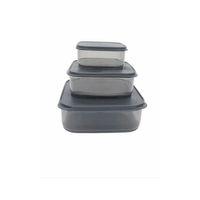 3'lü Yatay Füme Renk Saklama Kabı Royaleks-VİV-OX258