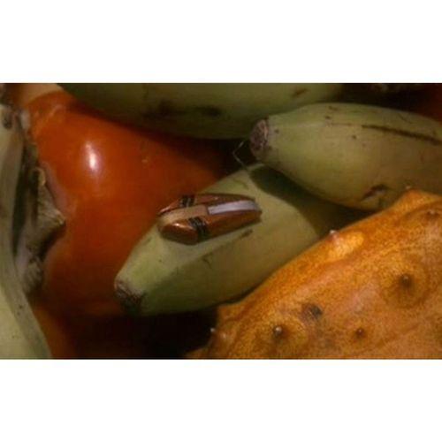 Star Trek Ferengi Dinleme Cihazı 3D Baskı