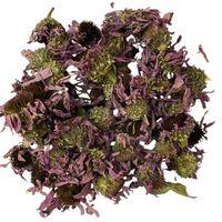 Kirpi Otu - Ekinezya 1KG